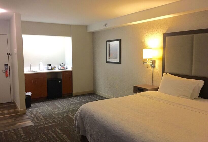 فندق Hampton Inn Sevierville