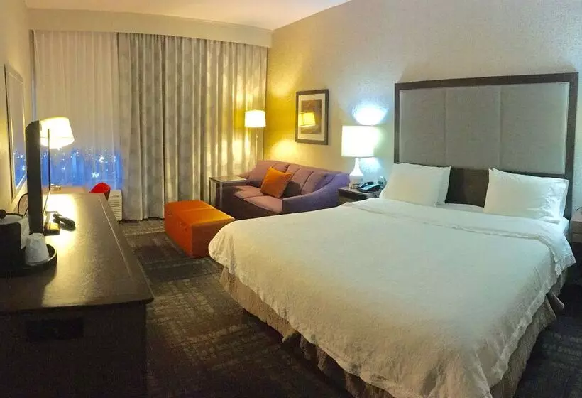 ホテル Hampton Inn Sevierville