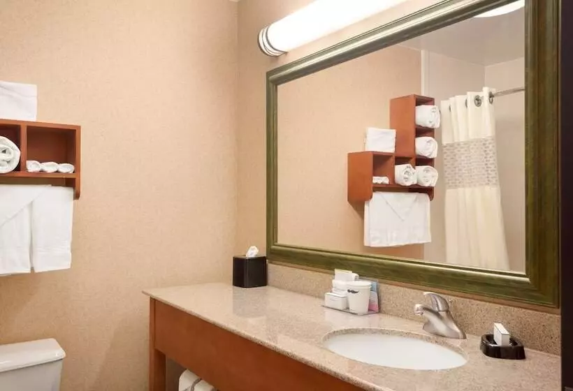 호텔 Hampton Inn Shawnee