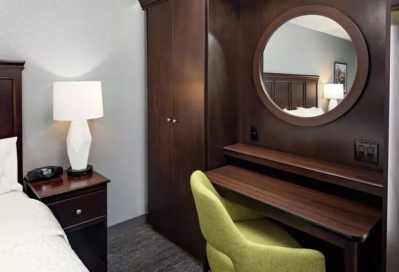 ホテル Hampton Inn & Suites Houston Medical Center Nrg Park