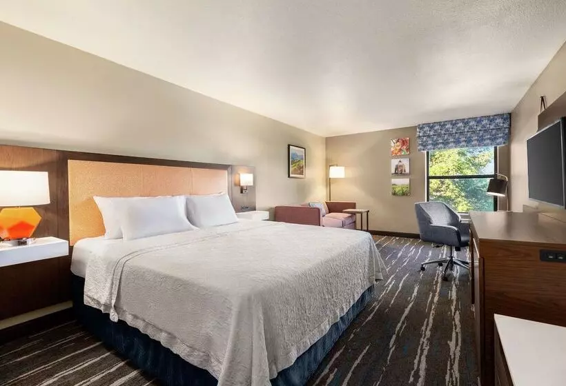 ホテル Hampton Inn Tracy