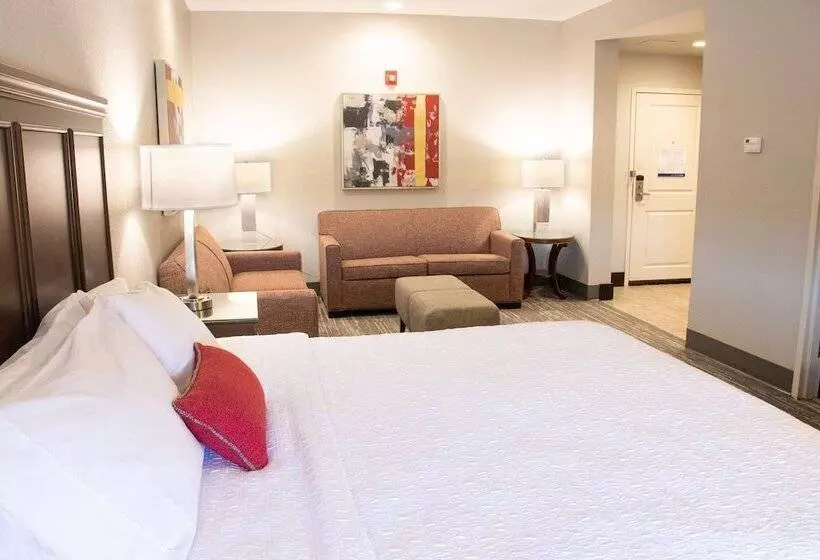 酒店 Hampton Inn Tuscaloosa University
