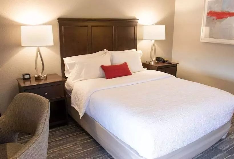 酒店 Hampton Inn Tuscaloosa University