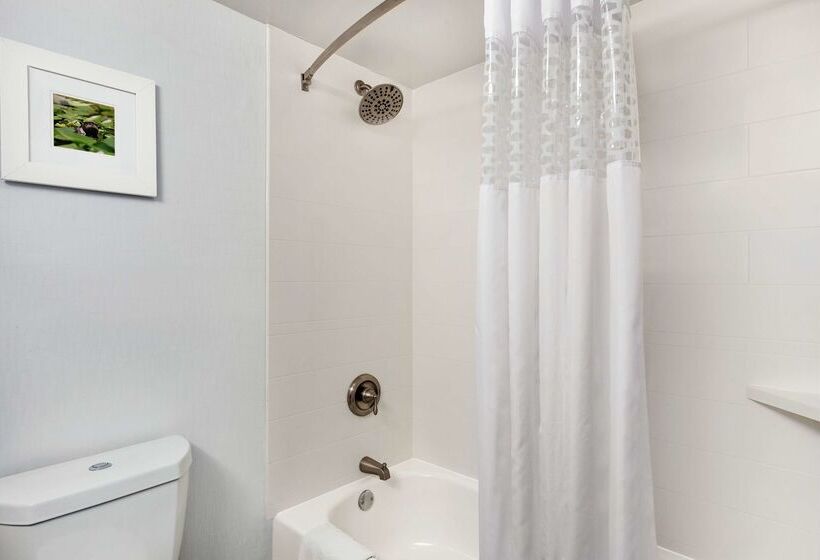 فندق Hampton Inn Waycross