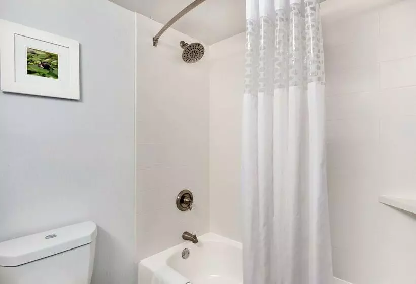 Отель Hampton Inn Waycross