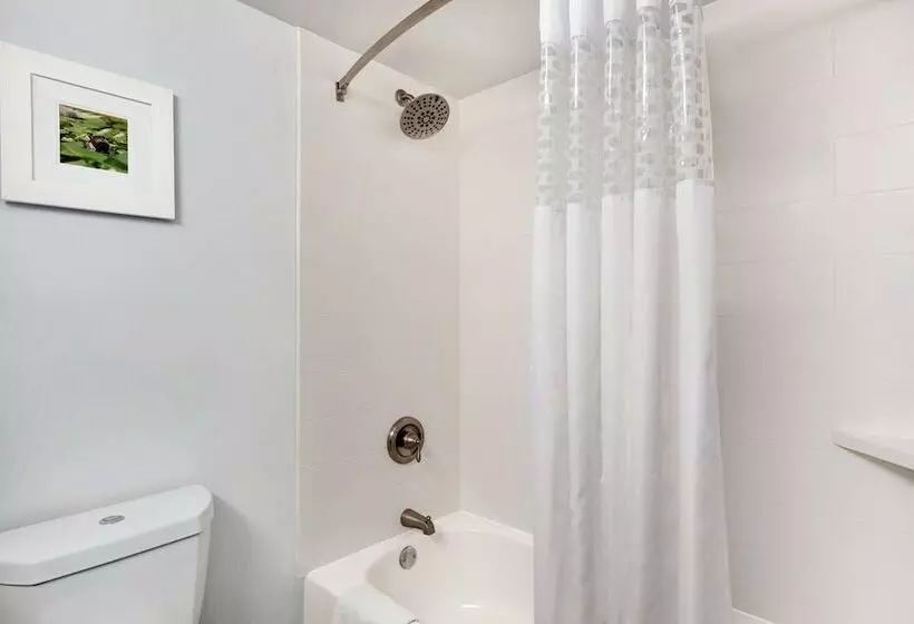 Отель Hampton Inn Waycross