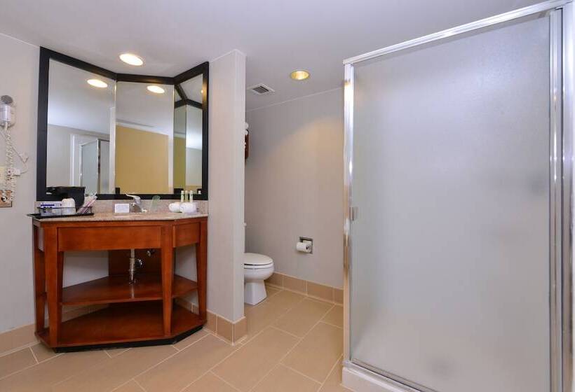 酒店 Holiday Inn Express Crestwood, An Ihg