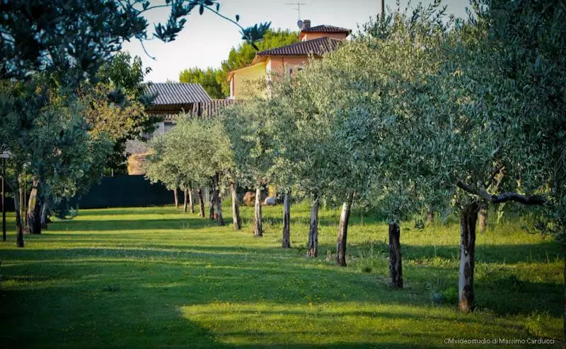 Aamiaismajoitus (B&B) Il Nido Del Falco