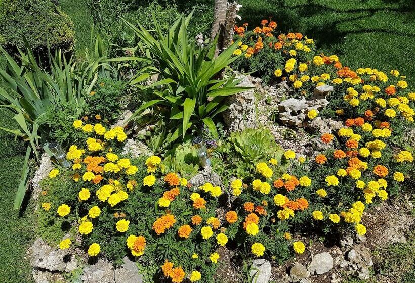 Majatalo Guest House Antonia