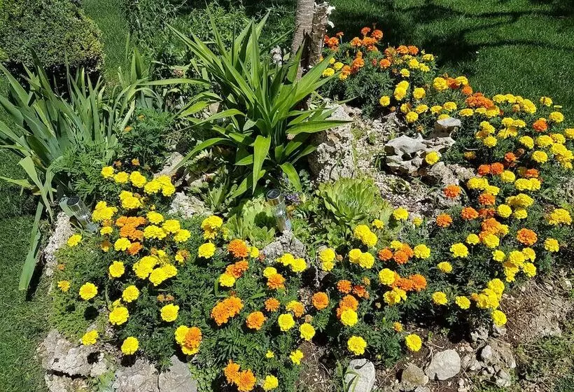 پانسیون Guest House Antonia