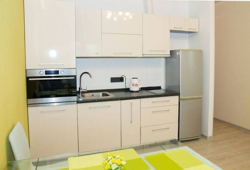 Apartment On Znameni St. 117d