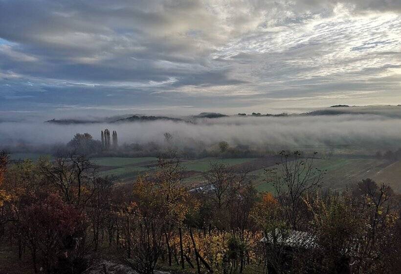 Apartment Viksa With Jacuzzi