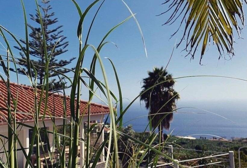 پانسیون Calheta Boutique Houses Adults Only