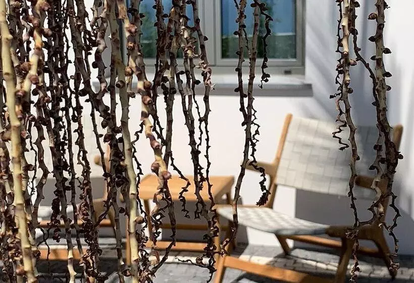 ペンション Calheta Boutique Houses   Adults Only