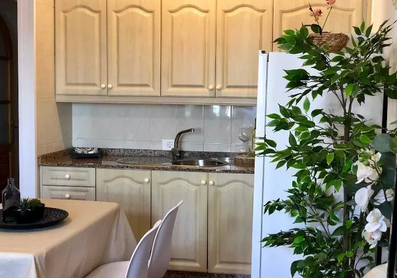 Canaryislandshost L Surf Lanzarote