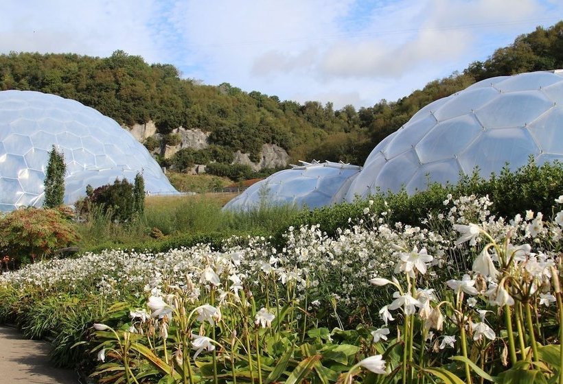 Trewhiddle Cottage 41