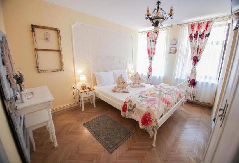 Пансион Casa Cu Usi   House Of Doors