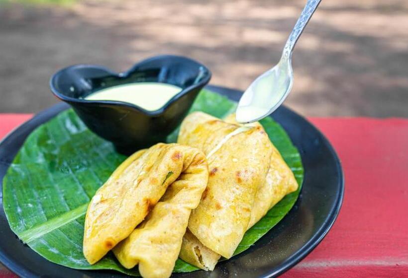 Lotus An Eco Beach Resort Dapoli Murud