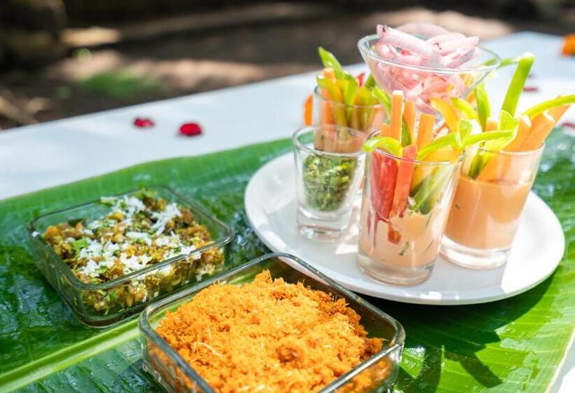 Lotus An Eco Beach Resort Dapoli Murud