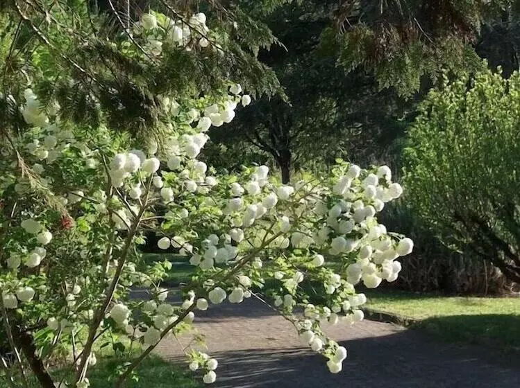 ベッドアンドブレックファースト Maison Blanche