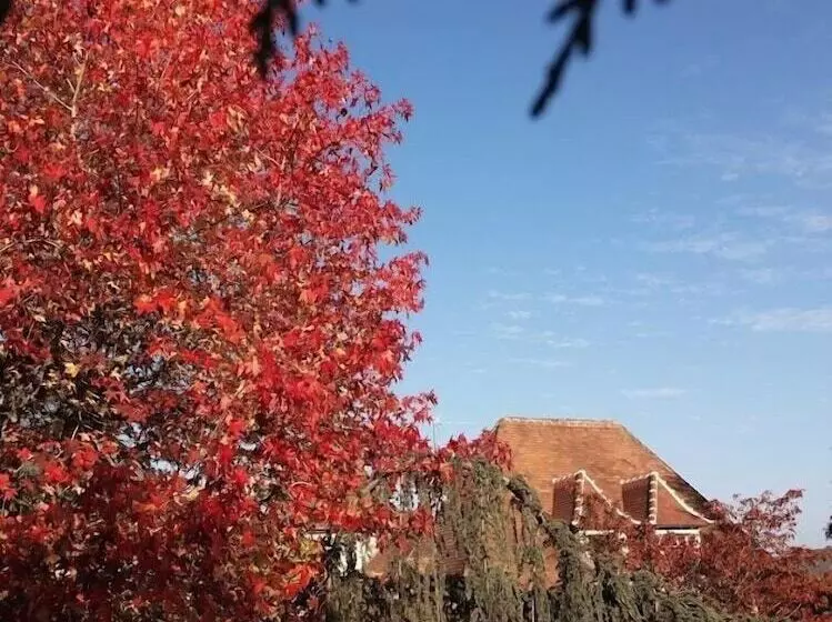 ベッドアンドブレックファースト Maison Blanche