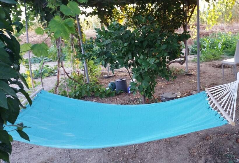 Kastraki Dream Near The Beach