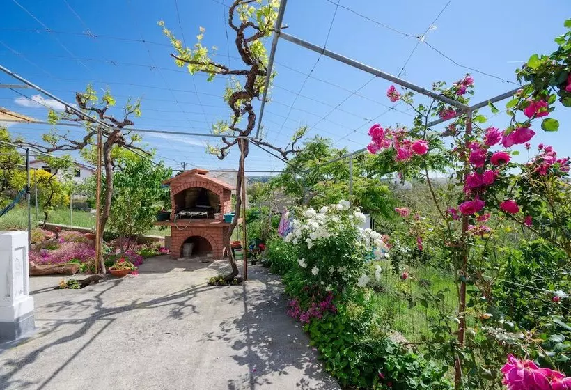 Apartment Bigterrace