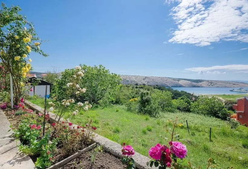 Apartment Bigterrace