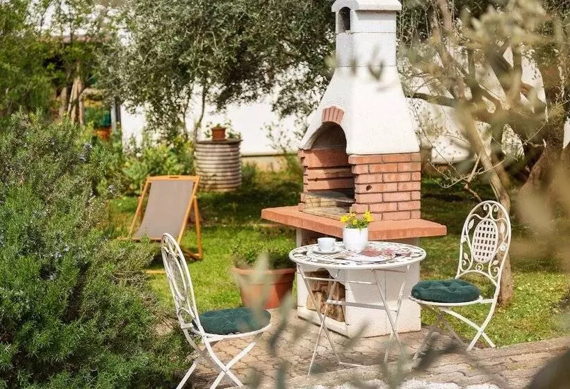 Apartments Valter 881