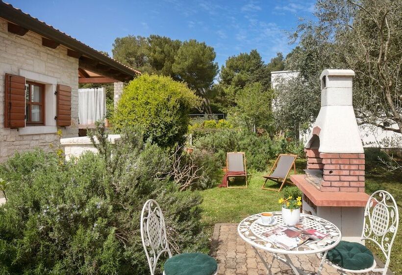 Apartments Valter 881