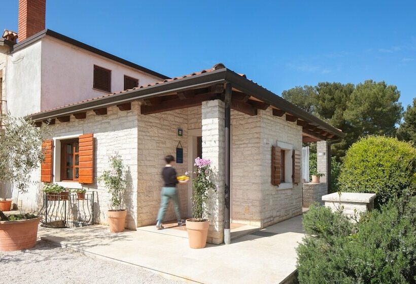 Apartments Valter 881