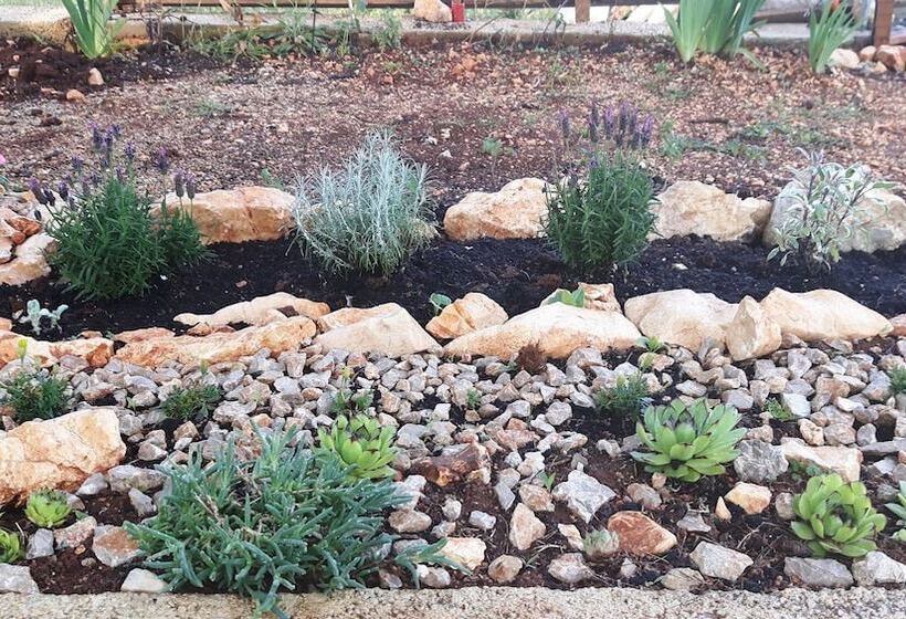 ペンション Apartments And Rooms Danijel