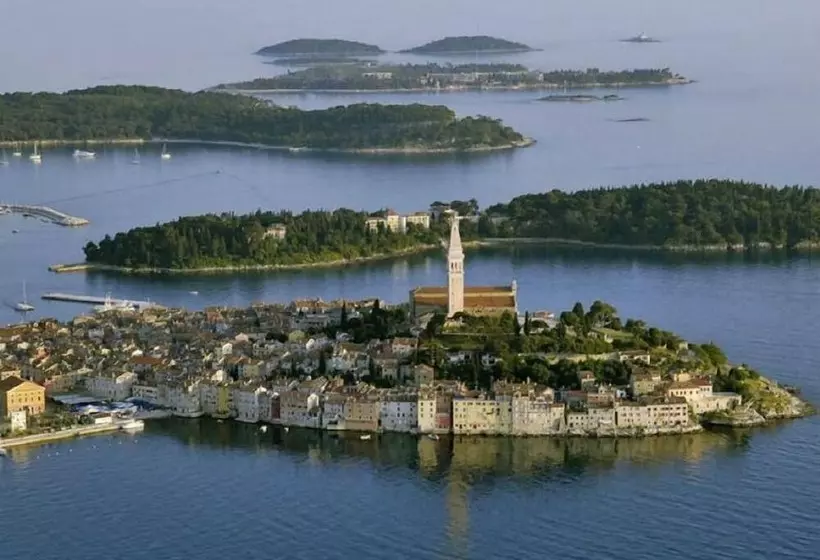 Apartment Tomy / Studio Terrace A1