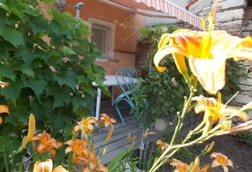 Apartment Tomy / Studio Terrace A1