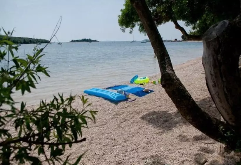 Apartment Tomy / Studio Terrace A1