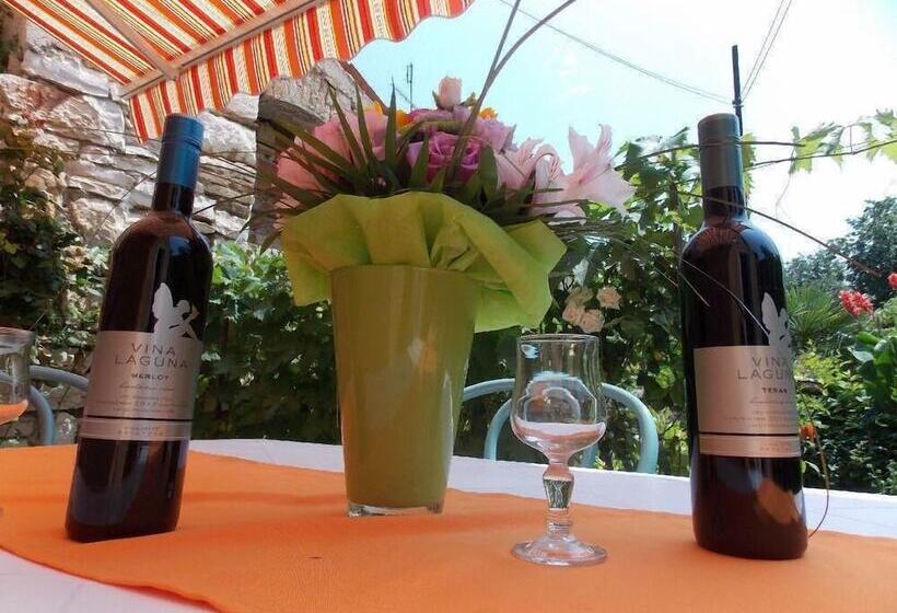 Apartment Tomy / Studio Terrace A1