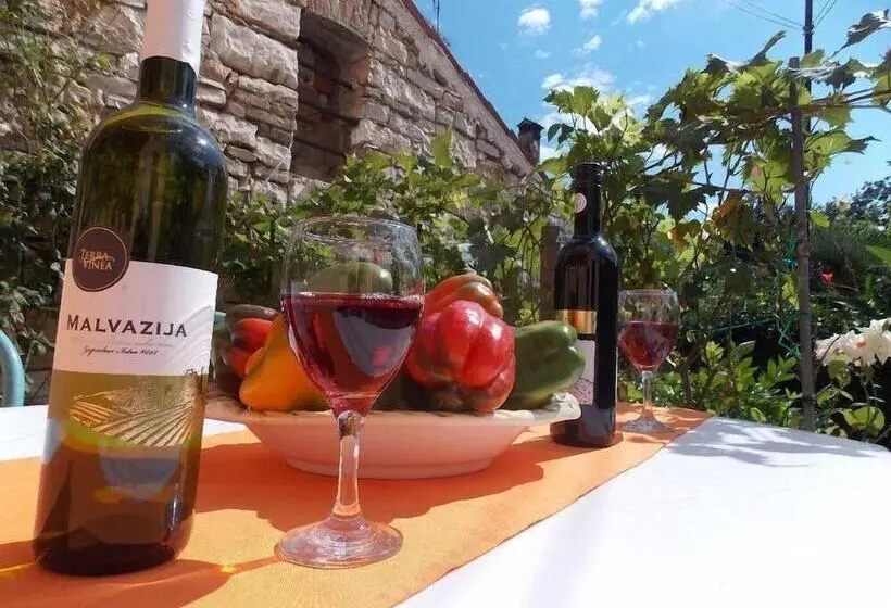 Apartment Tomy / Studio Terrace A1