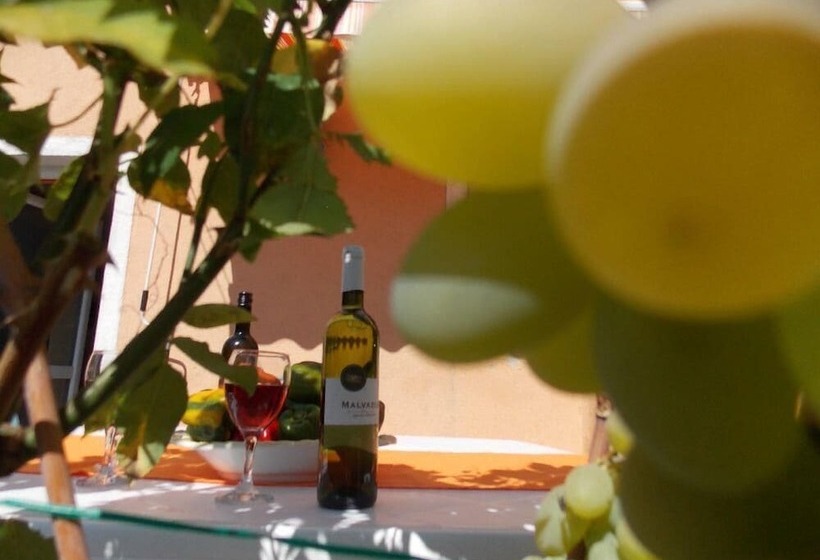 Apartment Tomy / Studio Terrace A1