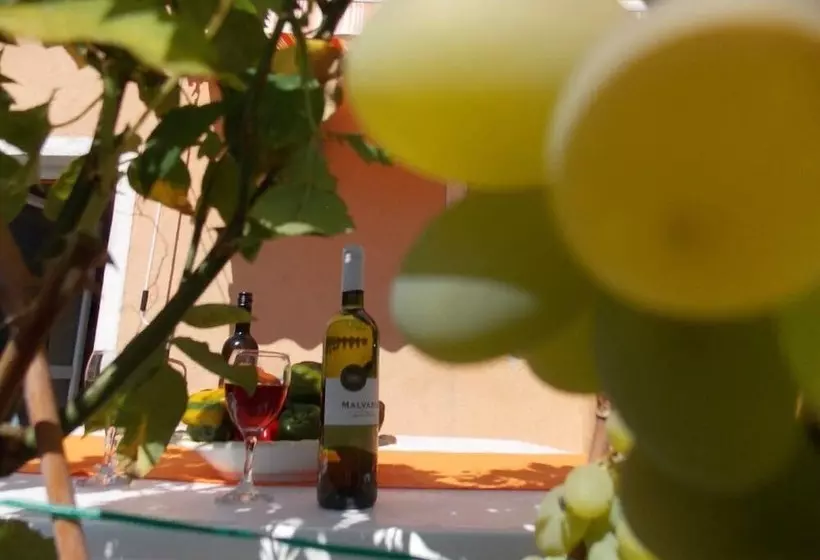 Apartment Tomy / Studio Terrace A1