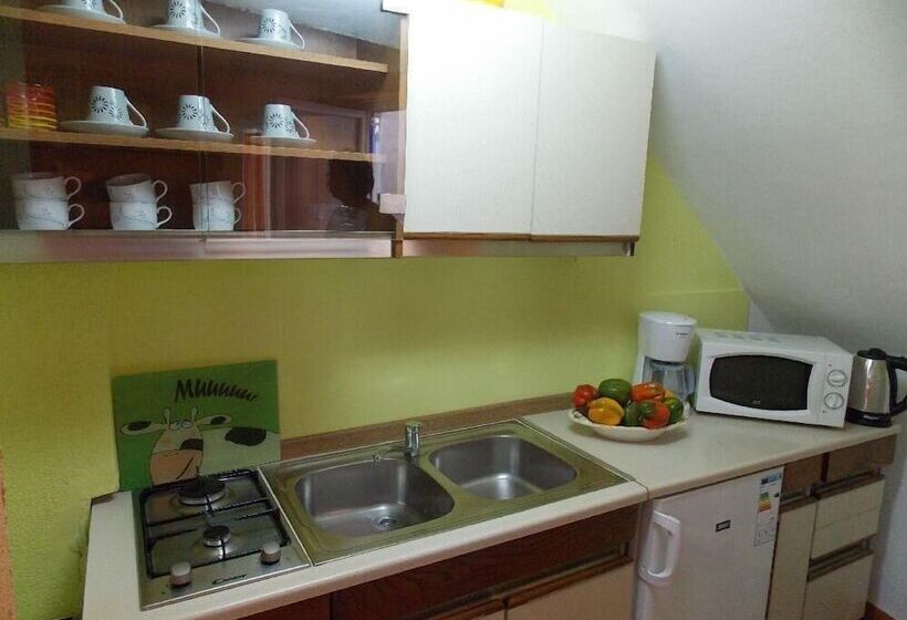 Apartment Tomy / Studio Terrace A1