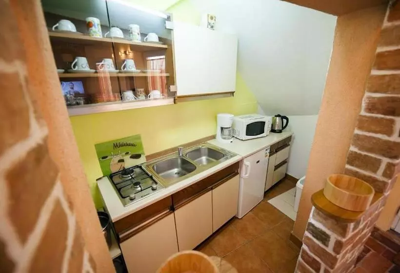 Apartment Tomy / Studio Terrace A1