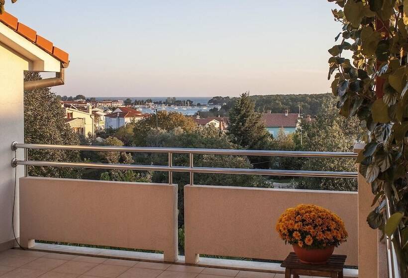 Apartments Levan Ceja