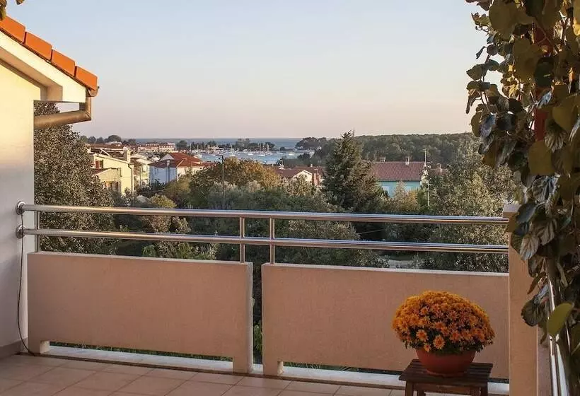 Apartments Levan Ceja
