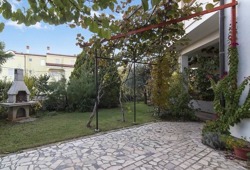 Apartments Levan Ceja