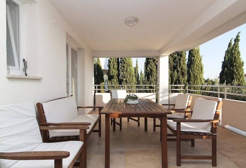 Apartments Levan Ceja