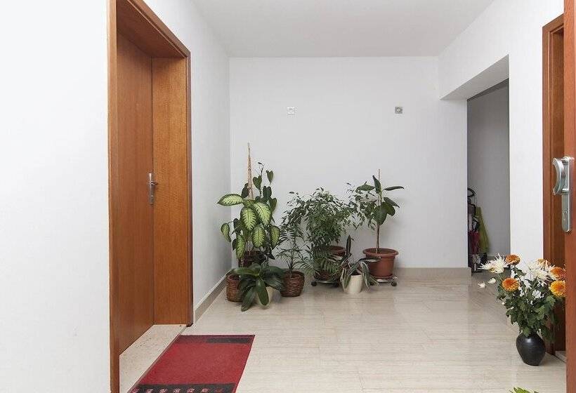 Apartments Levan Ceja