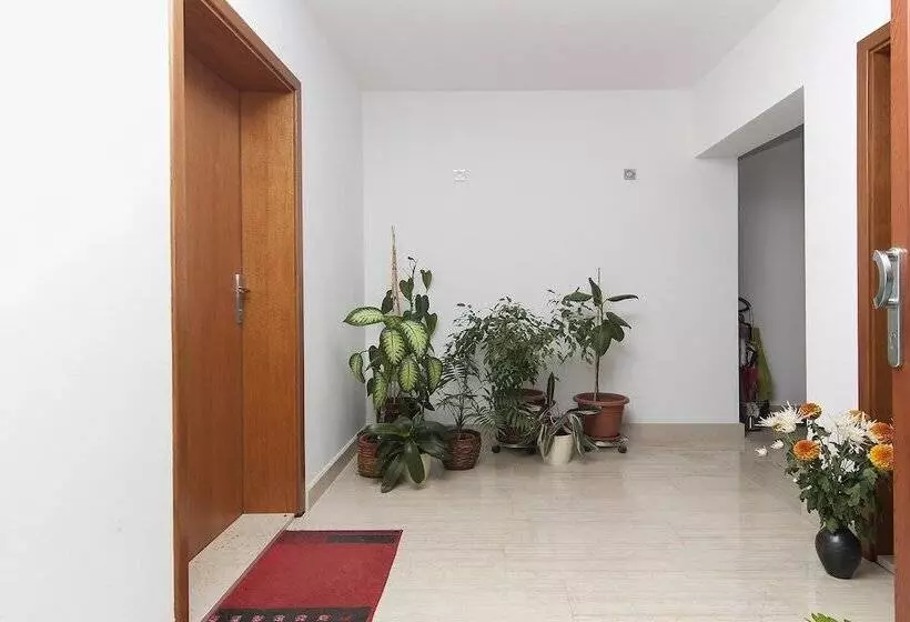 Apartments Levan Ceja