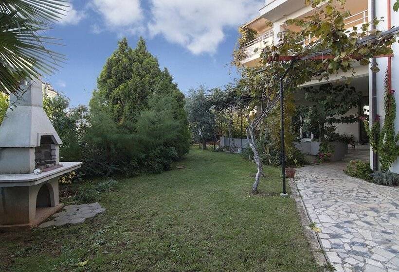 Apartments Levan Ceja