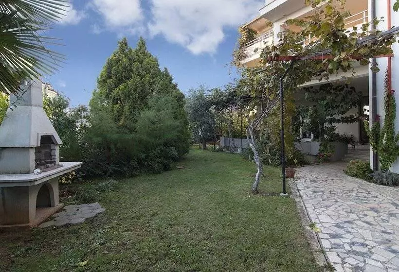 Apartments Levan Ceja
