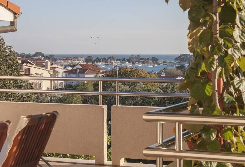 Apartments Levan Ceja